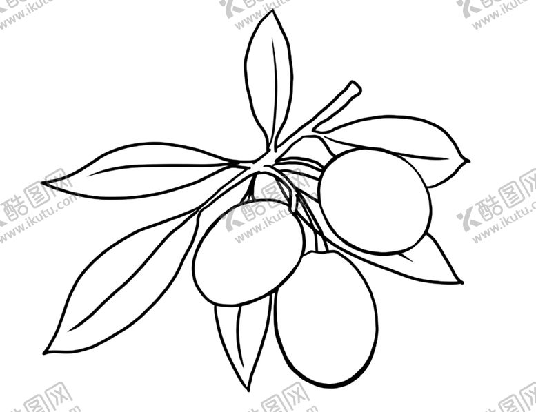 编号：83269810310922079111【酷图网】源文件下载-橄榄