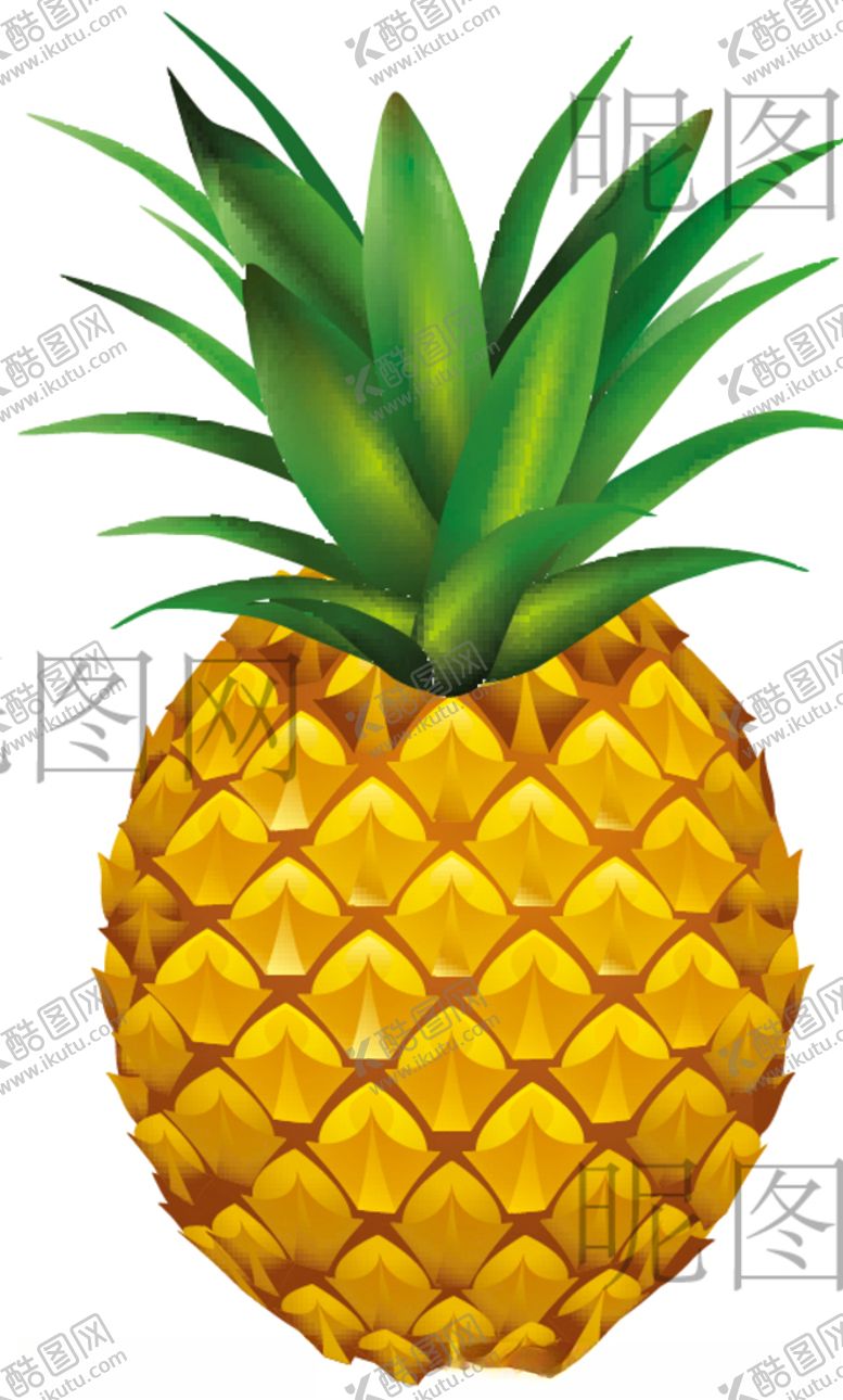 编号：50381210190413457419【酷图网】源文件下载-菠萝UI标识素材