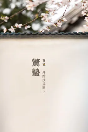 惊蛰宣传活动海报节日