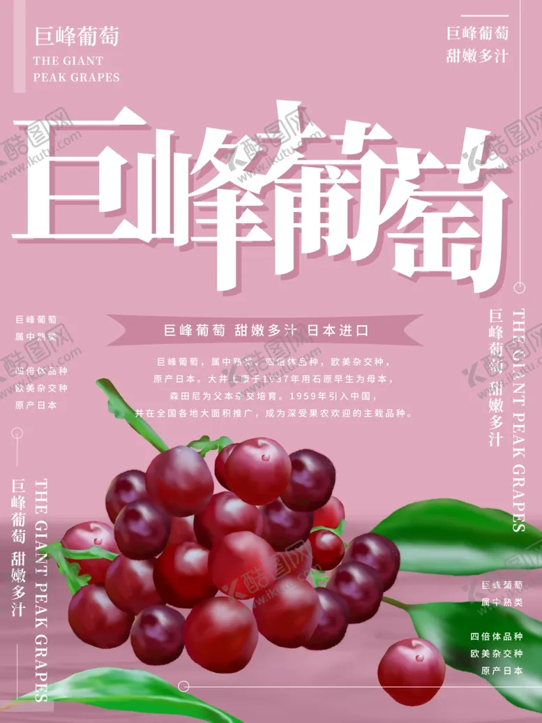 编号：89391106240356165679【酷图网】源文件下载-水果海报