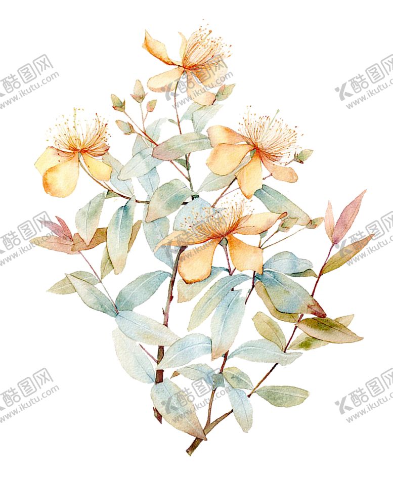 编号：42288706261125105504【酷图网】源文件下载-手绘水墨植物