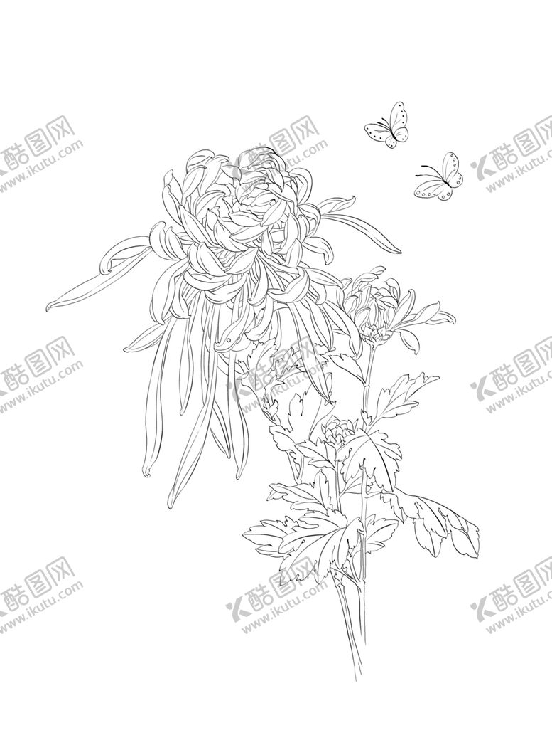 编号：34739310251148535422【酷图网】源文件下载-工笔花卉