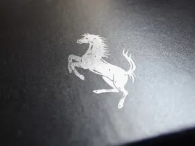 logo样机烫金金属激凸
