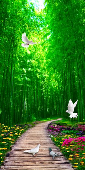 风景玄关