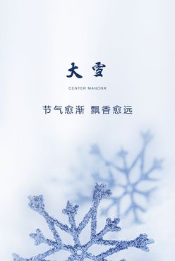 大雪雪花雪景