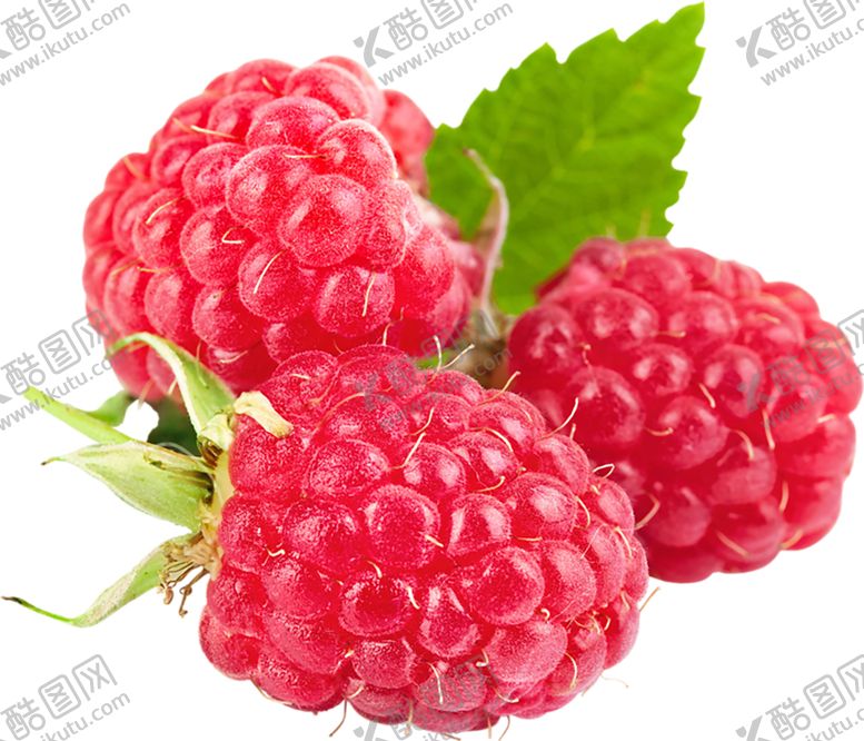 编号：94216610080216179718【酷图网】源文件下载-水果