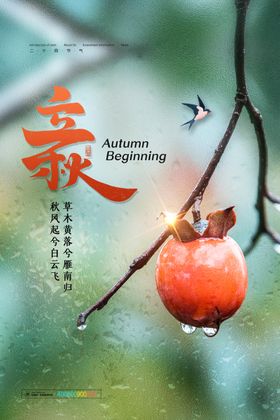 立秋节气海报