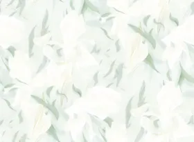 数码印花