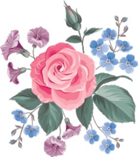 花卉
