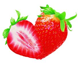 草莓实物食物