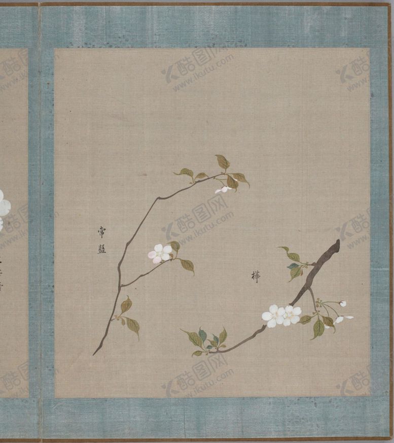 编号：23765905092351372555【酷图网】源文件下载-樱花