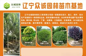 宣传彩页