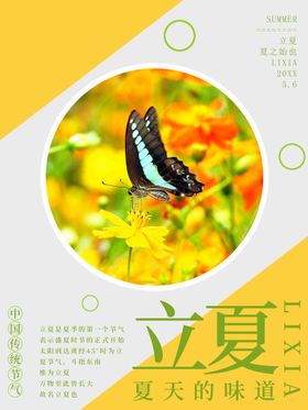立夏至转发图朋友圈荷花微信