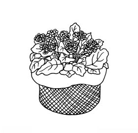 植物线条