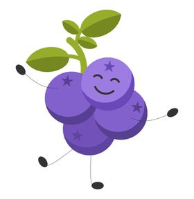 水果哈密瓜包菜图片花菜