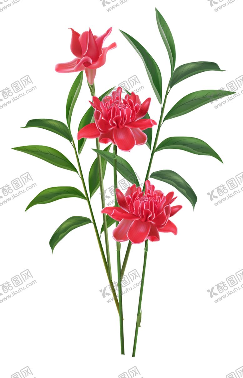 编号：27348109261802007840【酷图网】源文件下载-手绘花卉