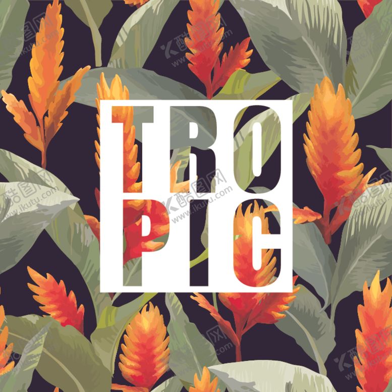 编号：93972110022001302454【酷图网】源文件下载-热带植物创意设计图案