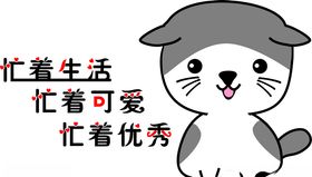 可爱猫咪