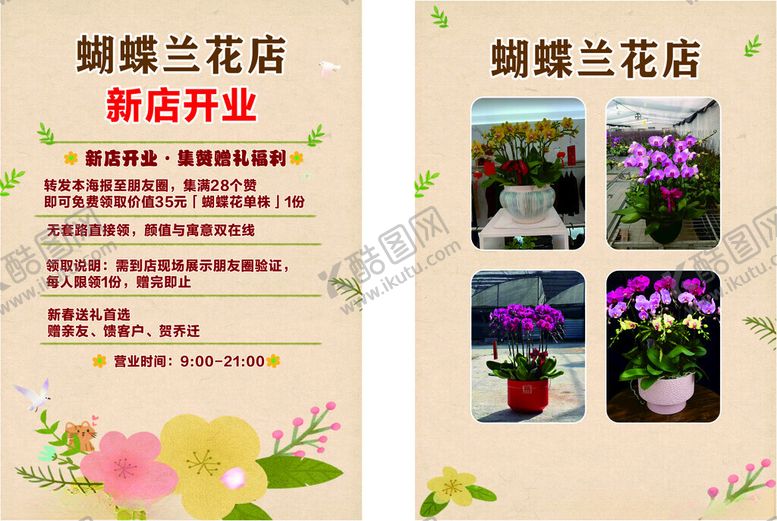 编号：11911904172020249661【酷图网】源文件下载-蝴蝶兰花店新开业宣传页