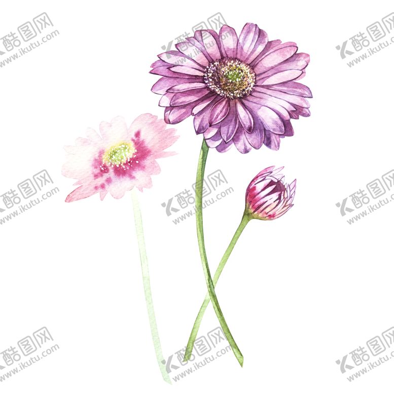 编号：67493310260350048036【酷图网】源文件下载-插画