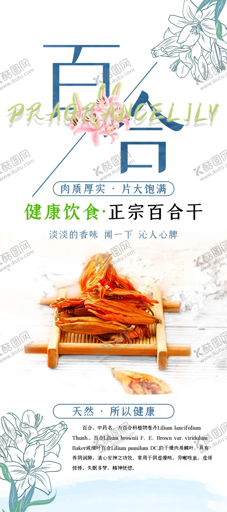 编号：52597504161746289789【酷图网】源文件下载-百合