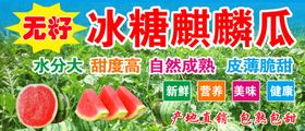麒麟西瓜