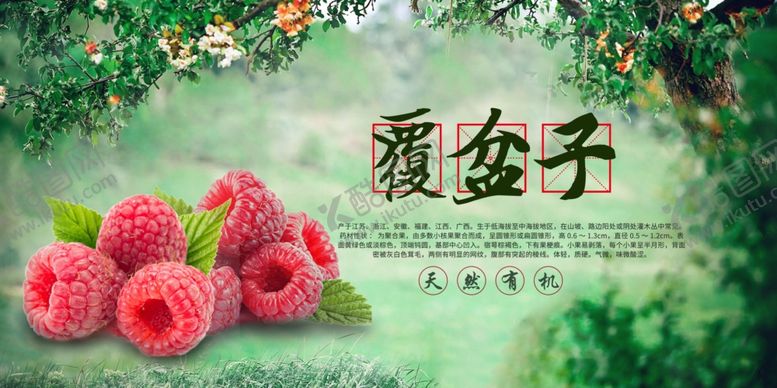 编号：45427709211851198732【酷图网】源文件下载-水果展板