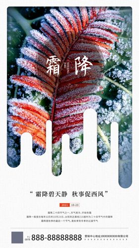 霜降海报
