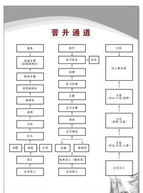 晋升结构图