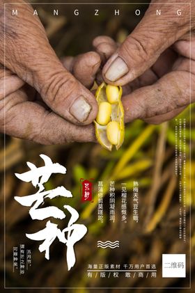 芒种二十四节气海报