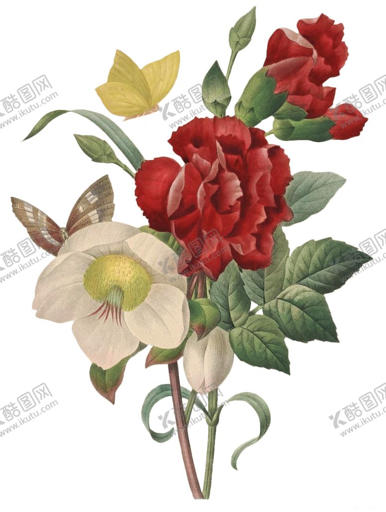 编号：76126910031526473393【酷图网】源文件下载-复古花