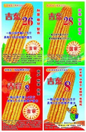 编号：04738209260358155096【酷图网】源文件下载-玉米大画