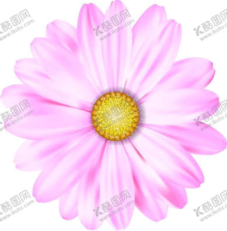 编号：60693301310807064481【酷图网】源文件下载-小菊花图片