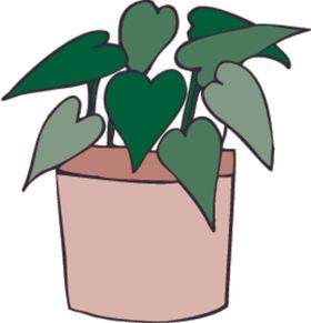 植物