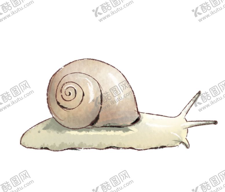 编号：44247805092137558336【酷图网】源文件下载-手绘蜗牛插画