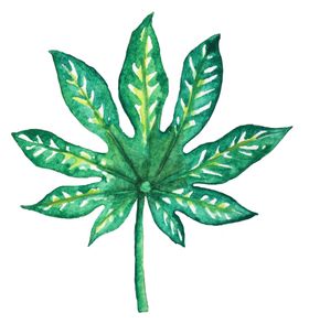 夏日植物树叶装饰图案