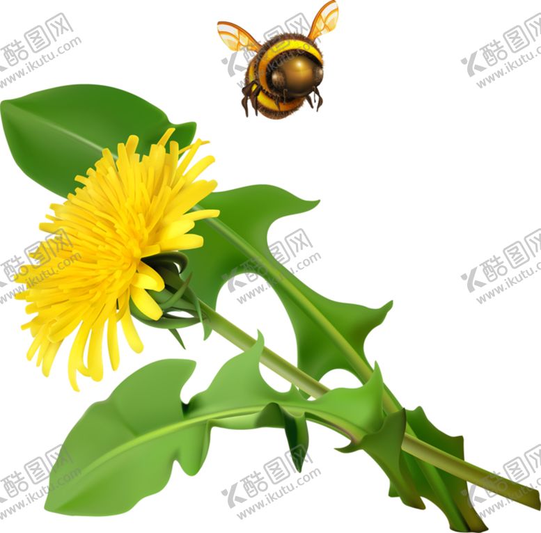 编号：55819404071656336144【酷图网】源文件下载-草本植物药材