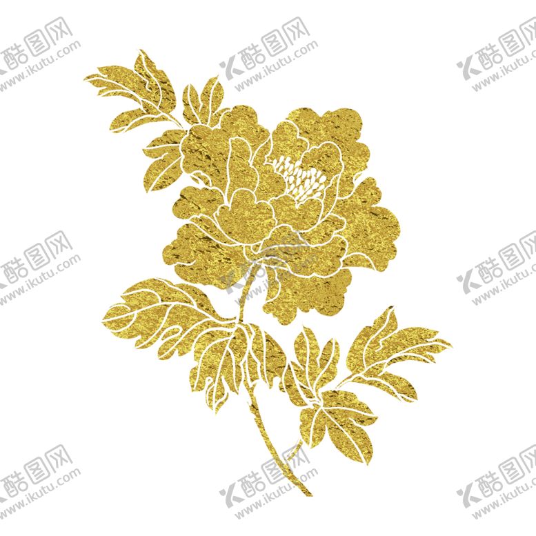 编号：77956105010813458015【酷图网】源文件下载-牡丹花