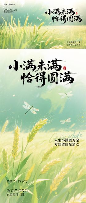 小满节气海报展板