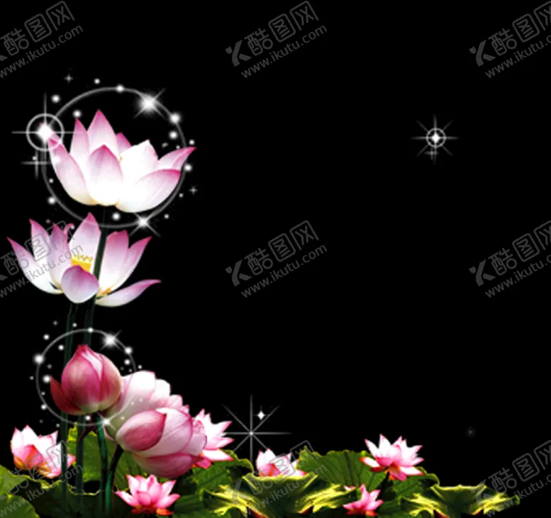 编号：09534809251050592097【酷图网】源文件下载-荷花莲花