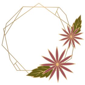 手绘花植物叶子免抠图花朵素材