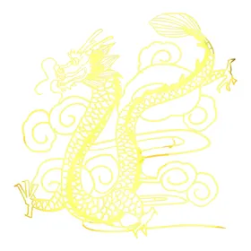 金龙双戏珠素材纹免扣