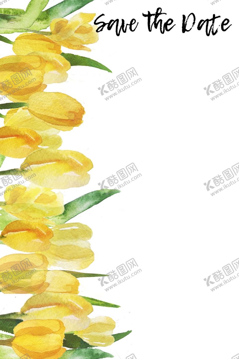 编号：14347104212220008925【酷图网】源文件下载-郁金香背景插画