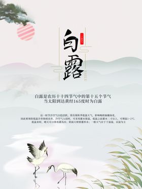 白露海报