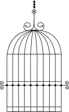 鸟笼