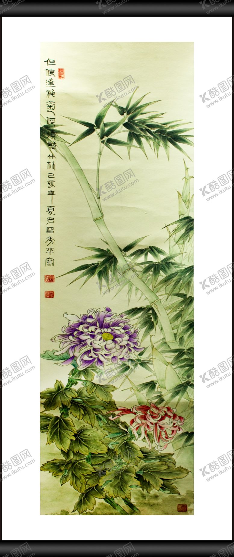 编号：81285606271026238152【酷图网】源文件下载-菊花
