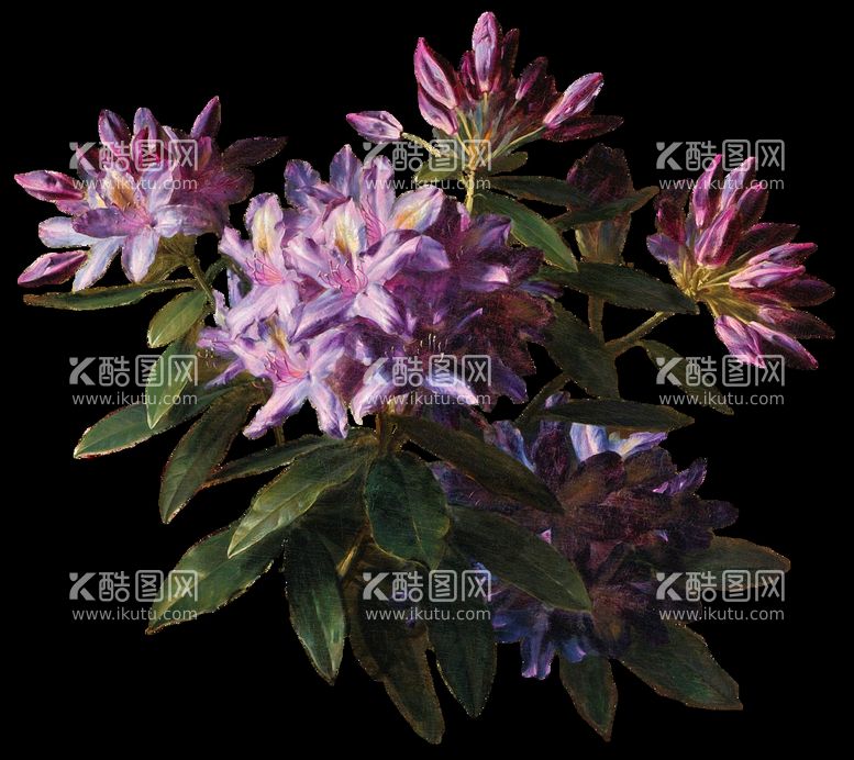 编号：20335110290210076029【酷图网】源文件下载-鲜花花朵植物         