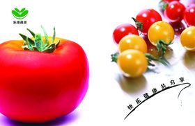 创意西红柿文案宣传海报
