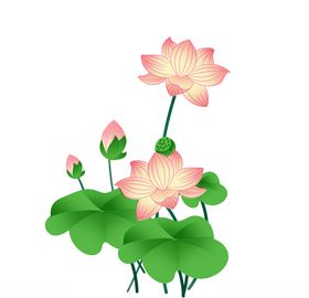 中国风之水彩手绘荷花插画