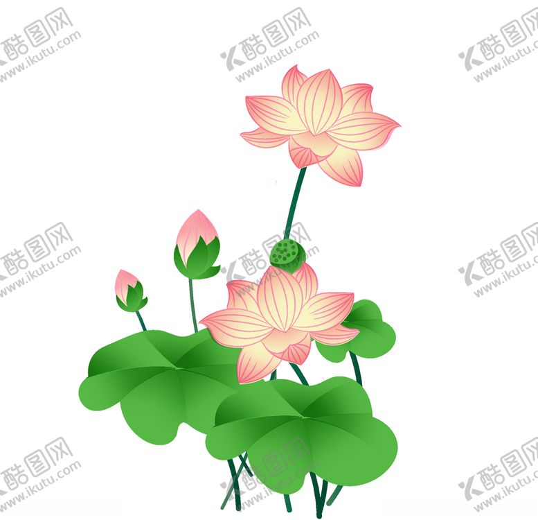 编号：12387610281449004306【酷图网】源文件下载-中国风之水彩手绘荷花插画